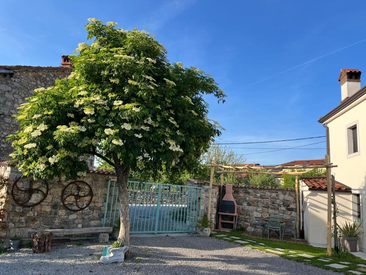 Apartma Ob Stari Murvi, Sežana المظهر الخارجي الصورة